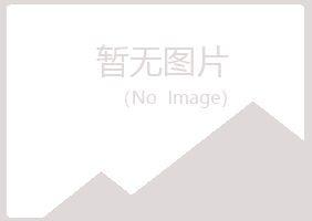 包头青山夏日咨询有限公司